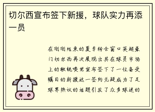 切尔西宣布签下新援，球队实力再添一员